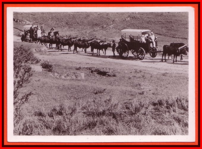 [1938-ossewatrek-600.jpg]